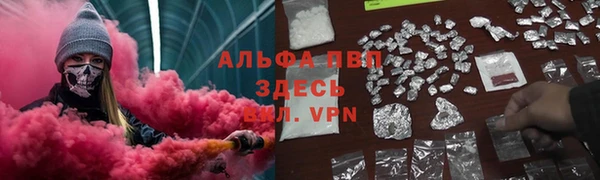 спиды Абаза