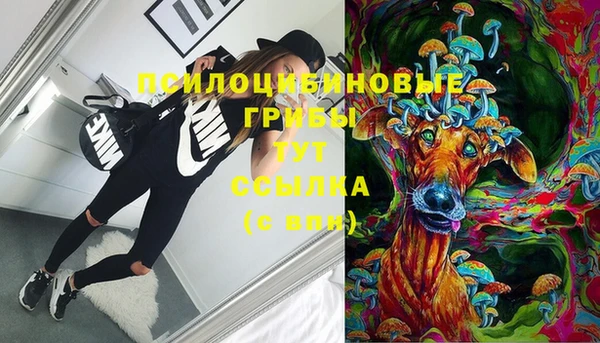 спиды Абаза